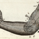 Illustration for article titled The History of Prosthetics Reveals a Long Tradition of Human Cyborgs